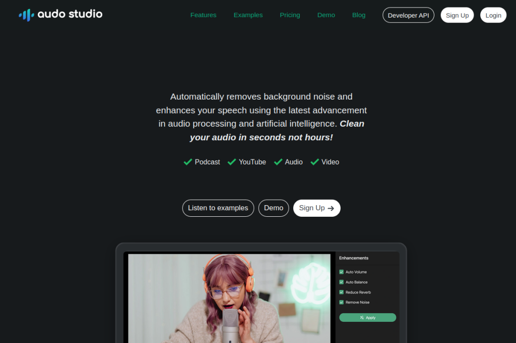 Screenshot of Audo Studio – AI Tool