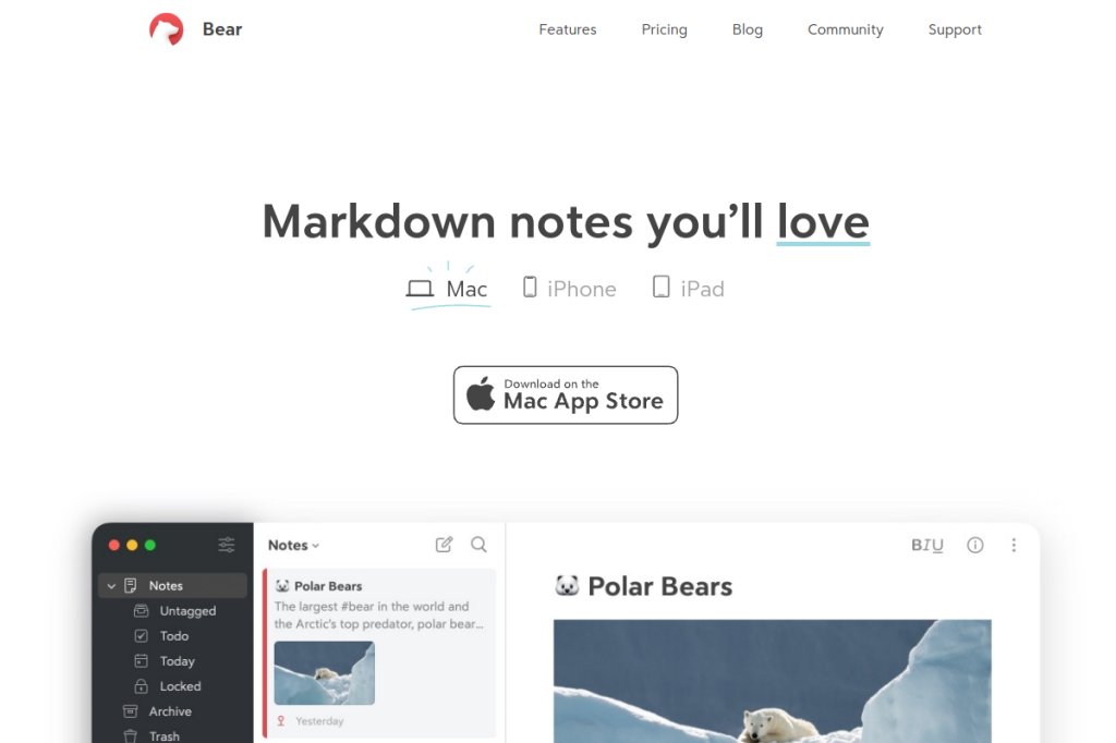 Screenshot of Bear with AI – AI Tool