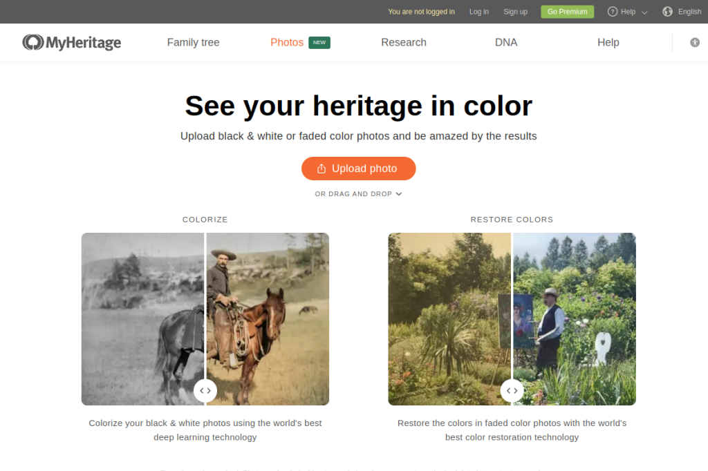 Screenshot of MyHeritage In Color – AI Tool