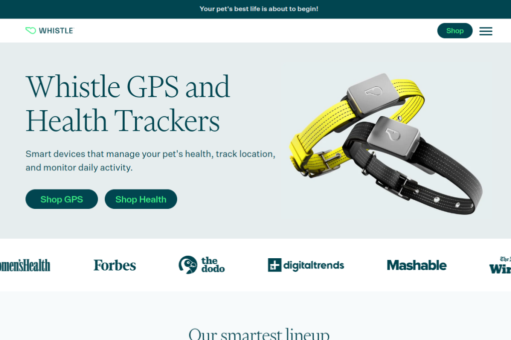 Screenshot of Whistle Health – AI Tool